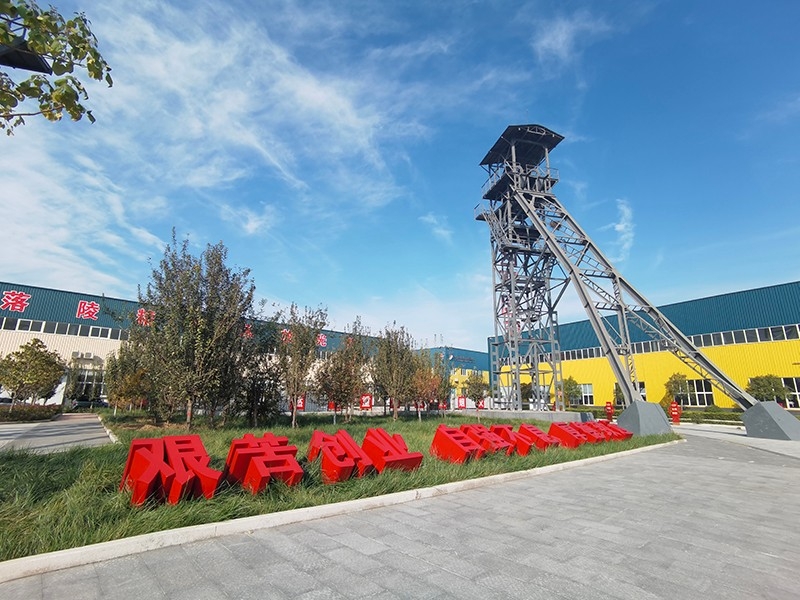 账表为纸，实践为笔：我在盛源书写的税务成长答卷